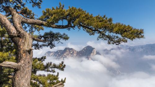 Mount Hua