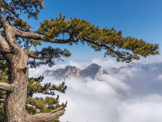 Mount Hua