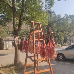 山南市诺追生态园 User Photo