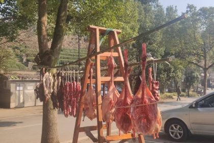 山南市诺追生态园