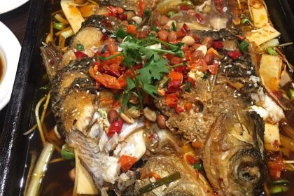 PRIME MINISTER HOMETOWN