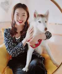 Shanghai’s Husky Experience Center