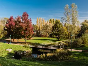 Qingcheng Park