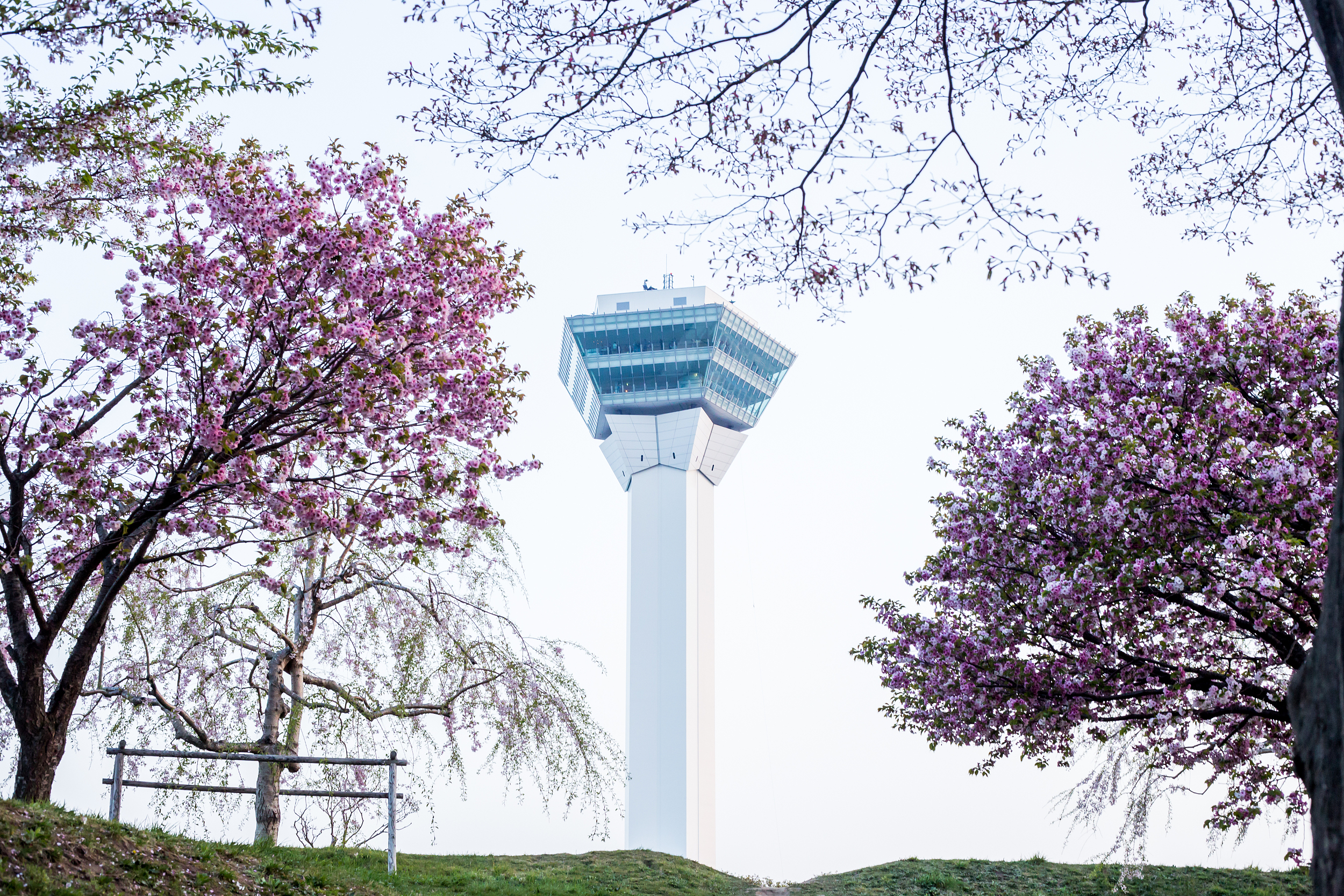 北海道 五稜郭タワー 入場Eチケット（引換券）予約