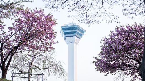 Goryōkaku Tower