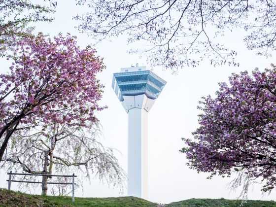 Goryōkaku Tower