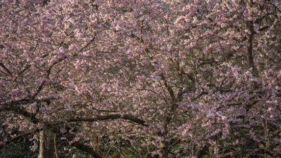 城北公園