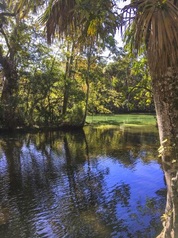 Kakadu