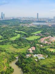 Nanning Qingxiu Mountain International Golf Court