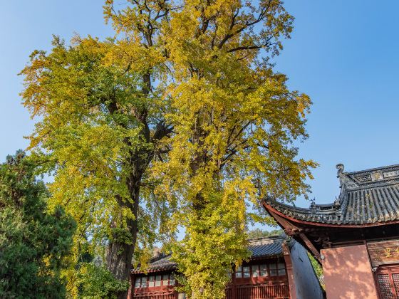 Bailong Temple