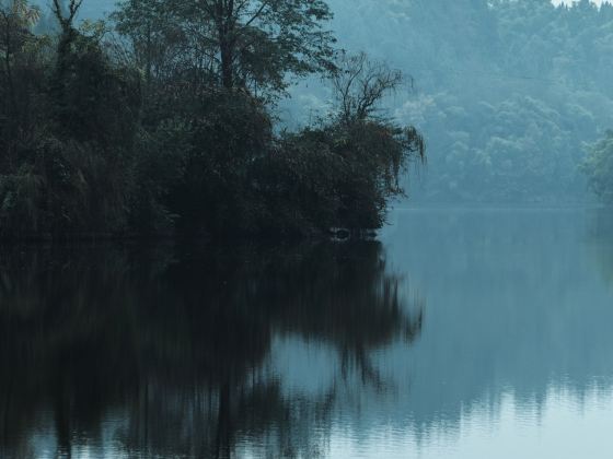 Dashen Nanhai Scenic Area