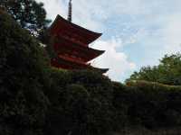 断崖にそびえ立つ「清水寺」