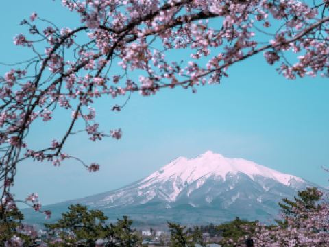 從大阪直飛青森航班