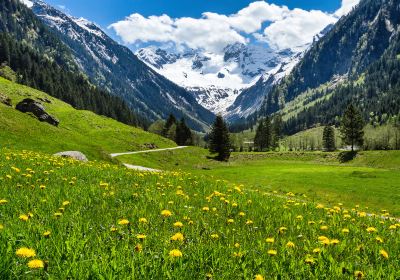 Gemeinde Mayrhofen