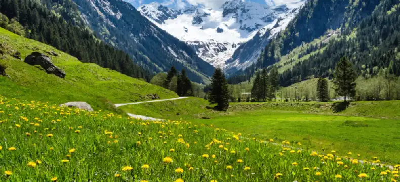 Hotels in Mayrhofen