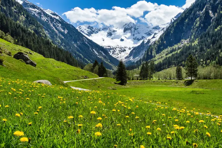 Hotels in Mayrhofen