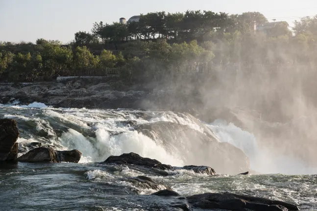 Отели с услугой баром в г. Индор