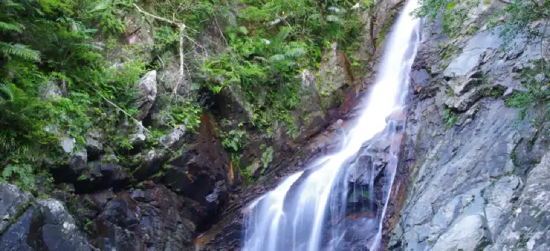 国頭村のホテル