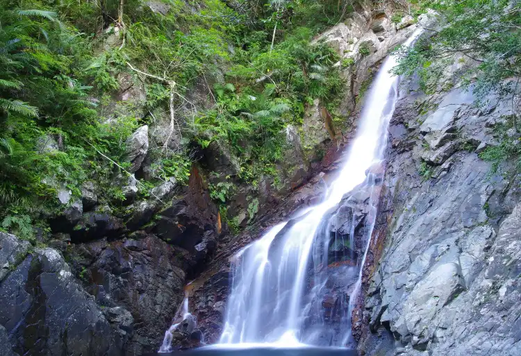 Hotels in Kunigami