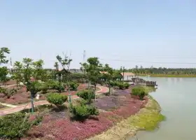 Peach Blossom Island, Garden of Eden