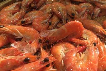 海儀美食樓（灣仔海鮮街店）用戶圖片