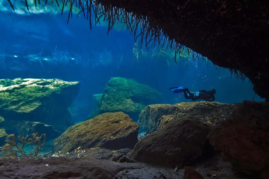 Yucatan Cenotes Mexico