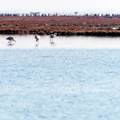 С видом на море Отели в г. Мармарис