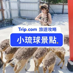 【小琉球景點全攻略】小琉球11大必去景點推薦！秘境沙灘、網美景點逛不完