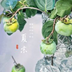 FOLLOW ảnh của người dùng