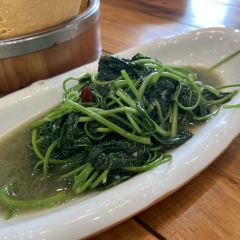 老鄉村農莊張用戶圖片