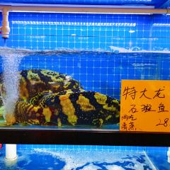 ZUIYIHAO User Photo