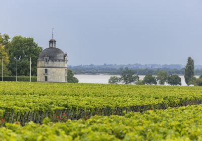 Chateau Latour