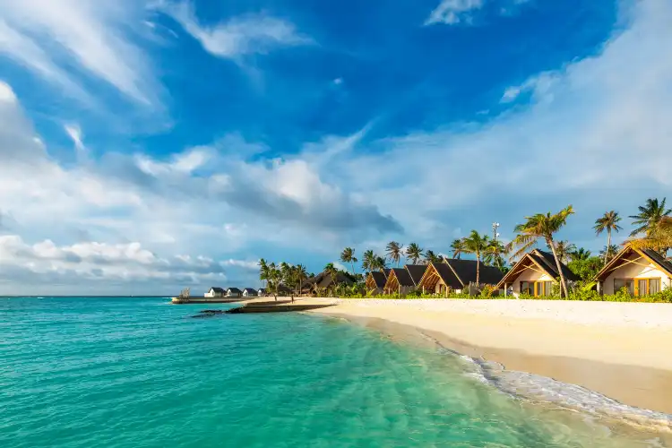 Hotel con internet in Maldive