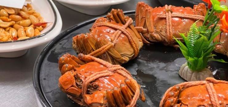 YUMMY CRAB