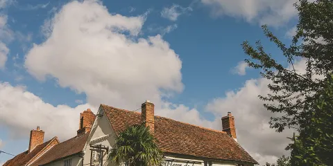 Fleur De Lys