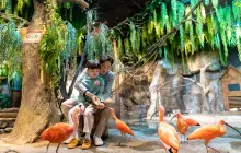 Zoolung Zoolung Animal Theme Park (SEOUL TIMES SQUARE)