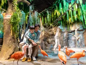 Zoolung Zoolung Animal Theme Park (SEOUL TIMES SQUARE)