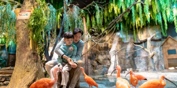 Zoolung Zoolung室內萌寵樂園(SEOUL TIMES SQUARE分店)