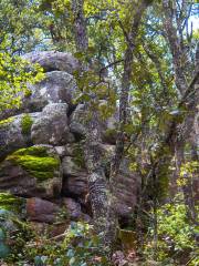 Sierra de Lobos