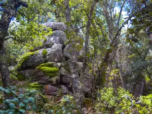 Sierra de Lobos