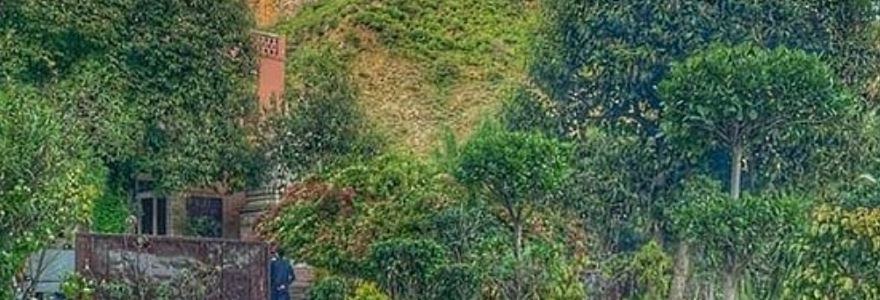 Des Pardes Restaurant