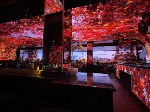 ShiShi Nightclub & Izakaya Lounge