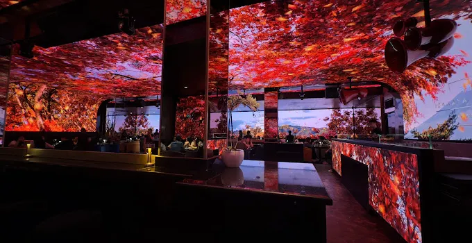 ShiShi Nightclub & Izakaya Lounge image 1