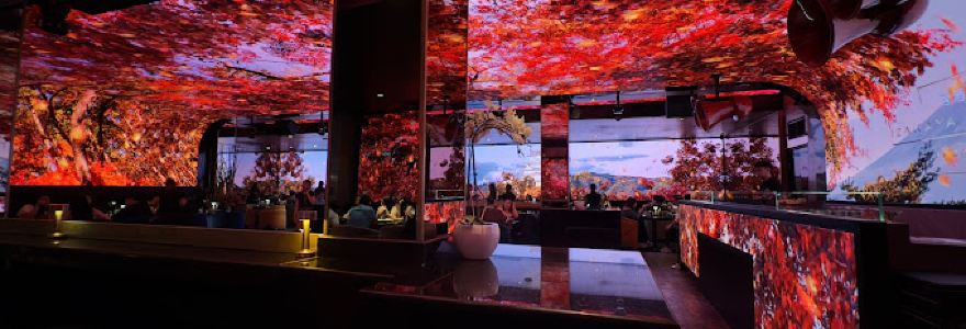 ShiShi Nightclub & Izakaya Lounge