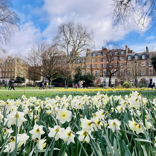 Russell Square