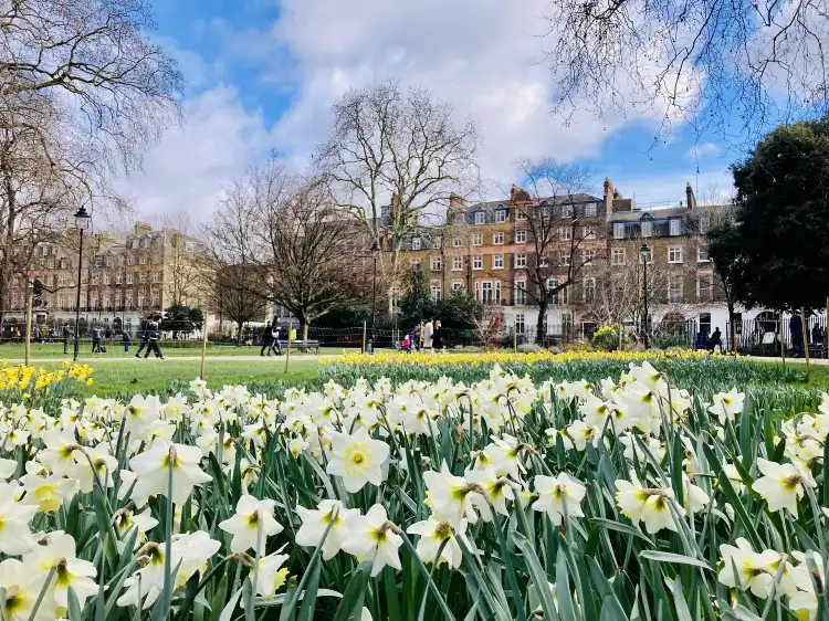Hotels near Russell Square