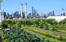 Sky Farm LIC by Variety Boys and Girls Club of Queens