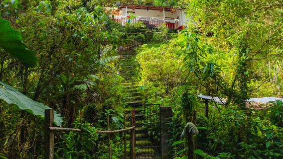 Momijidani Park