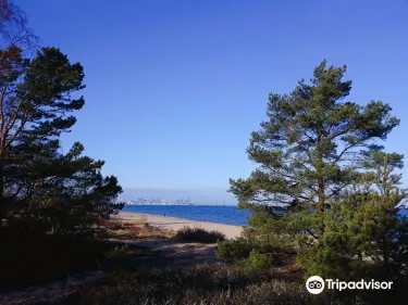 Stogi Beach