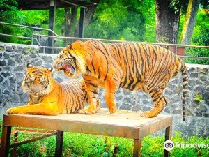 zoo di Bandung